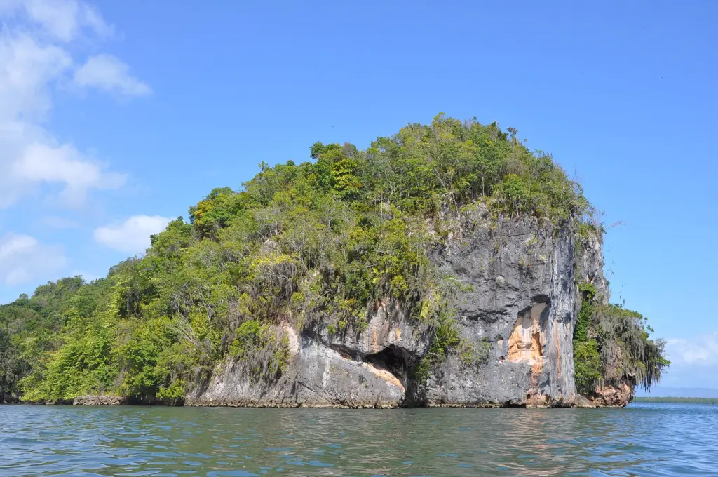 Un mogote cubierto de vegetación en la bahía de San Lorenzo, Parque Nacional Los Haitises