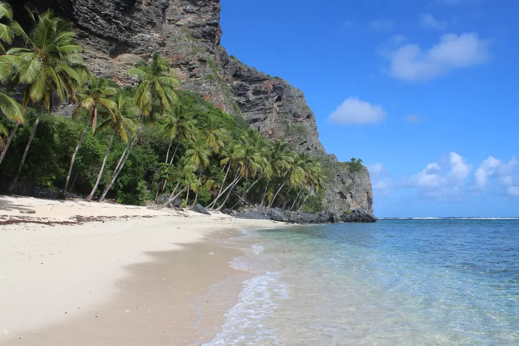 Playa Frontón: la arena, los cocoteros y el acantilado detrás, sin nadie